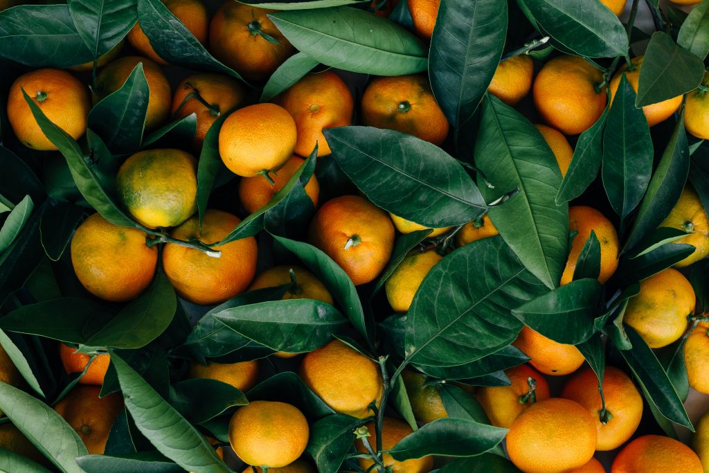 Портокали | Блогът на Ванина Иванова